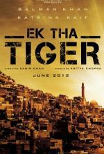 Film Krycí jméno Tygr (Ek Tha Tiger) 2012 online ke shlédnutí