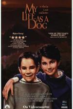 Film Můj život jako pes (My Life as a Dog) 1985 online ke shlédnutí