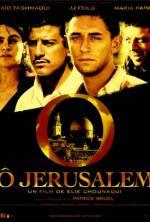 Film Boj o Jeruzalém (O Jerusalem) 2006 online ke shlédnutí