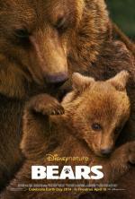 Film Medvědi (Bears) 2014 online ke shlédnutí