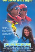 Film Osudný svah v Aspenu (Aspen Extreme) 1993 online ke shlédnutí