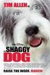 Film Chundelatý pes (The Shaggy Dog) 2006 online ke shlédnutí