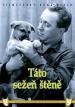 Film Táto, sežeň štěně! (Táto, sezen stene) 1964 online ke shlédnutí