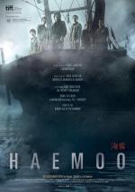 Film Mlha nad mořem (Haemoo) 2014 online ke shlédnutí