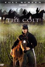 Film Hříbě (The Colt) 2005 online ke shlédnutí