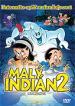 Film Malý indián 2 (Patoruzito: The Great Adventure) 2006 online ke shlédnutí