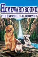 Film Neuvěřitelná cesta (Homeward Bound: The Incredible Journey) 1993 online ke shlédnutí