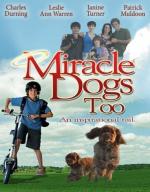 Film Zázrační pejsci 2 (Miracle Dogs Too) 2006 online ke shlédnutí