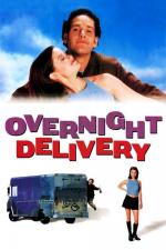 Film Nebezpečná zásilka (Overnight Delivery) 1998 online ke shlédnutí