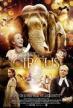 Film Cirkus (Y Syrcas) 2013 online ke shlédnutí