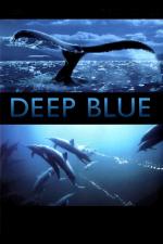 Film Tajemství oceánu (Deep Blue) 2003 online ke shlédnutí