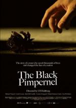 Film Převrat (The Black Pimpernel) 2007 online ke shlédnutí