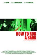 Film Jak vykrást banku (How to Rob a Bank) 2007 online ke shlédnutí