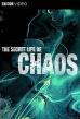 Film Tajný život chaosu (The Secret Life of Chaos) 2010 online ke shlédnutí