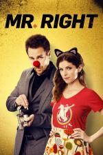 Film Pan Dokonalý (Mr. Right) 2015 online ke shlédnutí