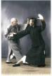 Film Blázen do Tai-chi (Wo Wei Tai Ji Guang) 2012 online ke shlédnutí