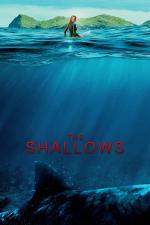 Film Mělčiny (The Shallows) 2016 online ke shlédnutí