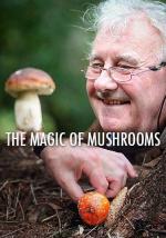 Film Magická říše hub (The Magic of Mushrooms) 2014 online ke shlédnutí