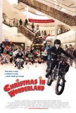 Film Milionové Vánoce (Christmas in Wonderland) 2007 online ke shlédnutí