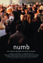 Film Zmatená duše (Numb) 2007 online ke shlédnutí