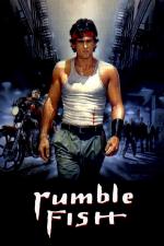 Film Dravé ryby (Rumble Fish) 1983 online ke shlédnutí