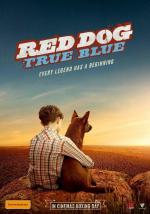 Film Red Dog: True Blue (Red Dog: True Blue) 2016 online ke shlédnutí