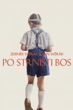 Film Po strništi bos (Po strništi bos) 2017 online ke shlédnutí