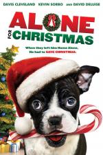 Film Zachráněné Vánoce (Alone for Christmas) 2013 online ke shlédnutí