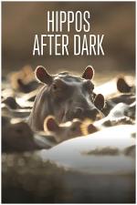 Film Hroch versus lev (Hippos After Dark) 2015 online ke shlédnutí